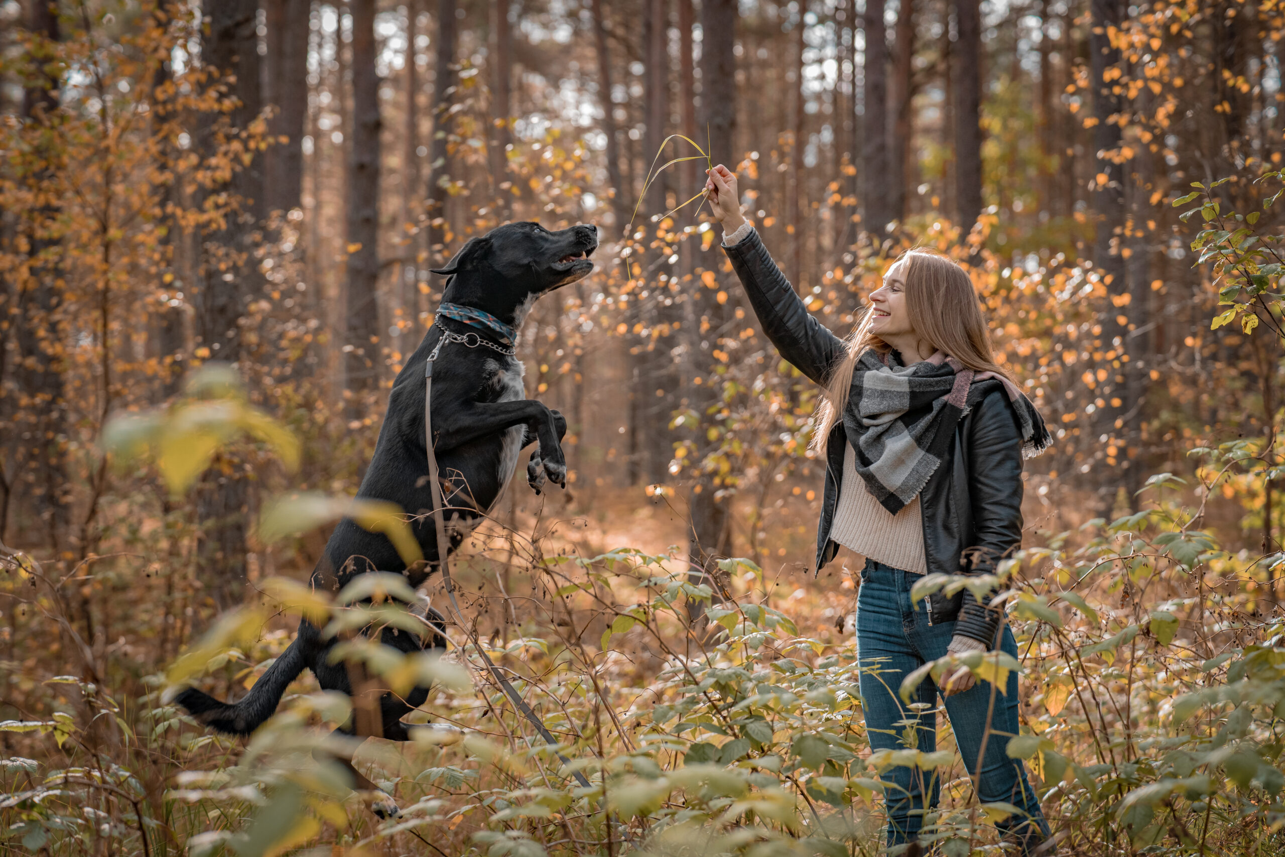 fotosesija su augintiniu fotografas suo augintinis