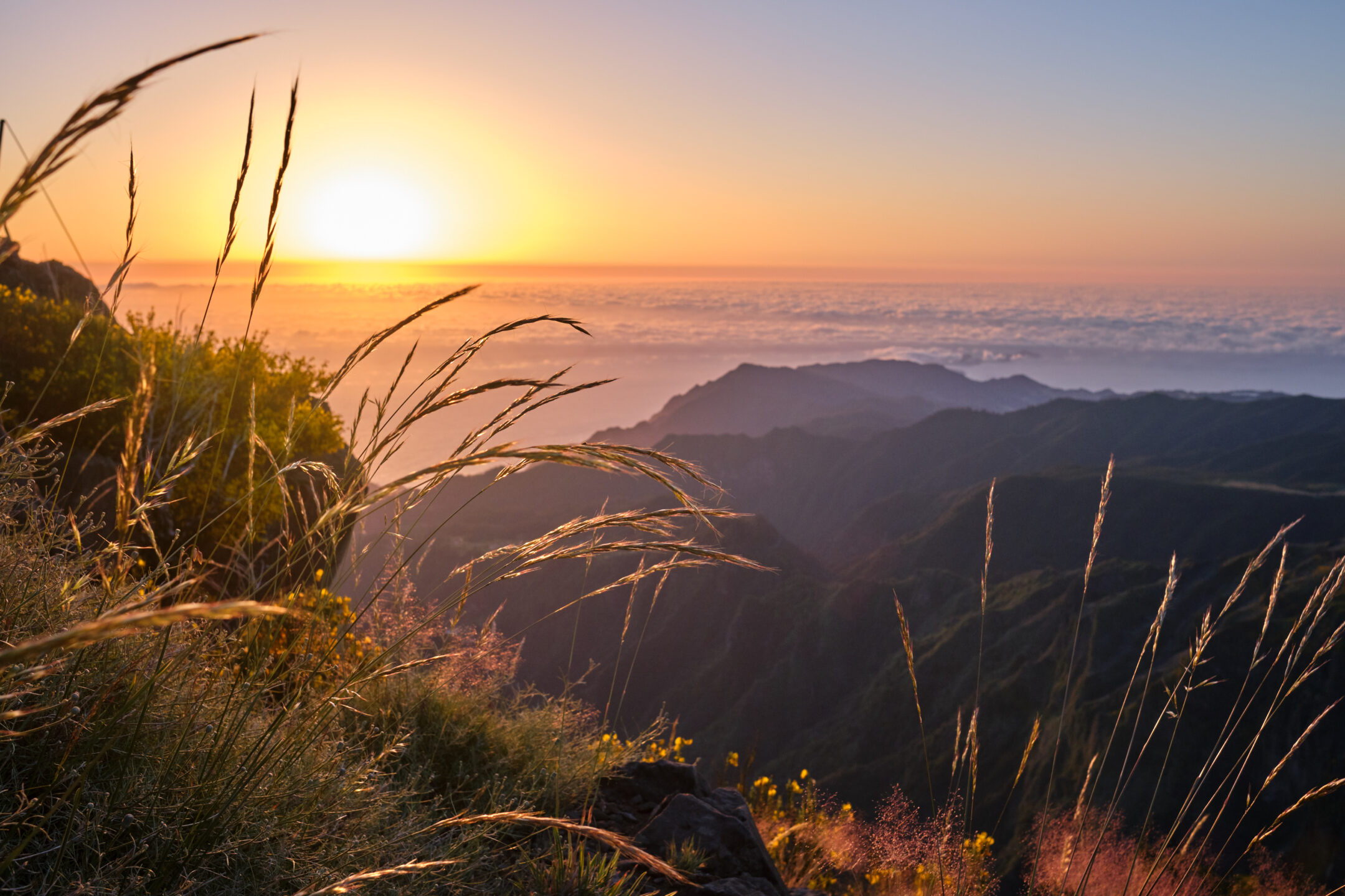 portretas fotografas fotografavimas fotoaparatas kelione kalnai uzsienis Madeira